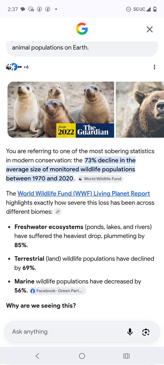 LawrenceWidman's tweet photo. Humans need to feed wildlife more
That's a big problem
The ecosystem for wildlife is so poor these days 
Especially in rivers
But humans could help by planting orchards on their property 

Full grown trees are very valuable each year as well

And this would give wildlife much needed food at times