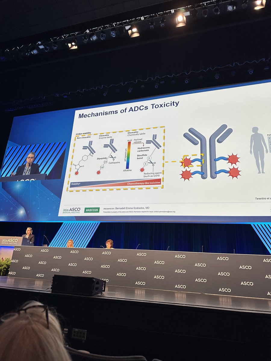 cdanicas's tweet photo. 🎯 #ASCO26 Education Session: Immunotherapy, targeted therapy or both? Excellent review and future of ADCs by @b_szabados ! Remarking the efficacy in different Solid Tumors and manageable toxicity! @OncoAlert @tompowles1 @DrChoueiri @GuardConsortium @UroTarget https://t.co/AB7gfqlqBd
