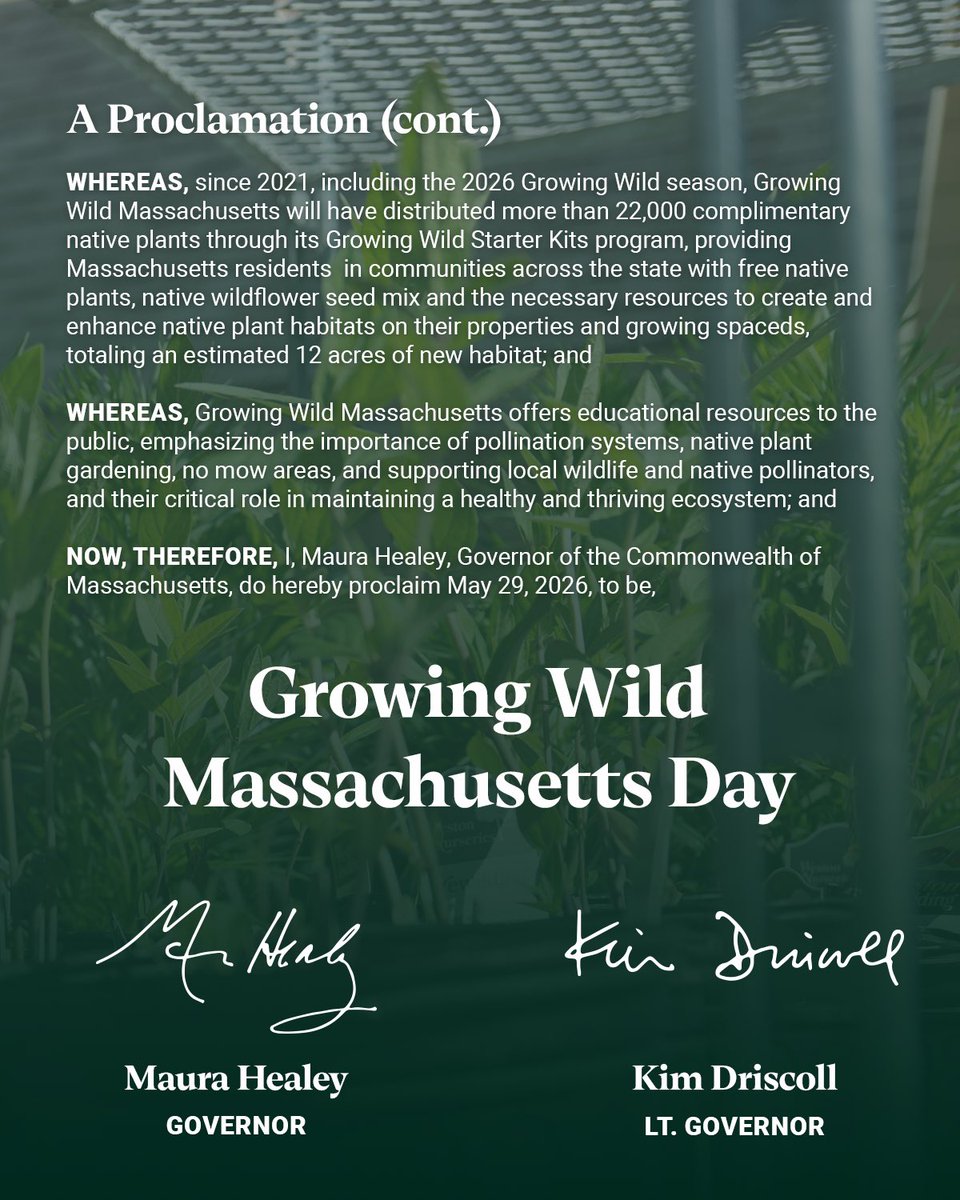 MassDCR's tweet photo. @MassGovernor &amp; @MassLtGov have proclaimed May 29 to be Growing Wild Day in Mass, recognizing the importance of biodiversity, sustaining agriculture &amp; building resilience. Join the movement &amp; pick up a free starter kit at an upcoming event near you! https://t.co/yq6N8dJE1O https://t.co/fTIt4ollwy