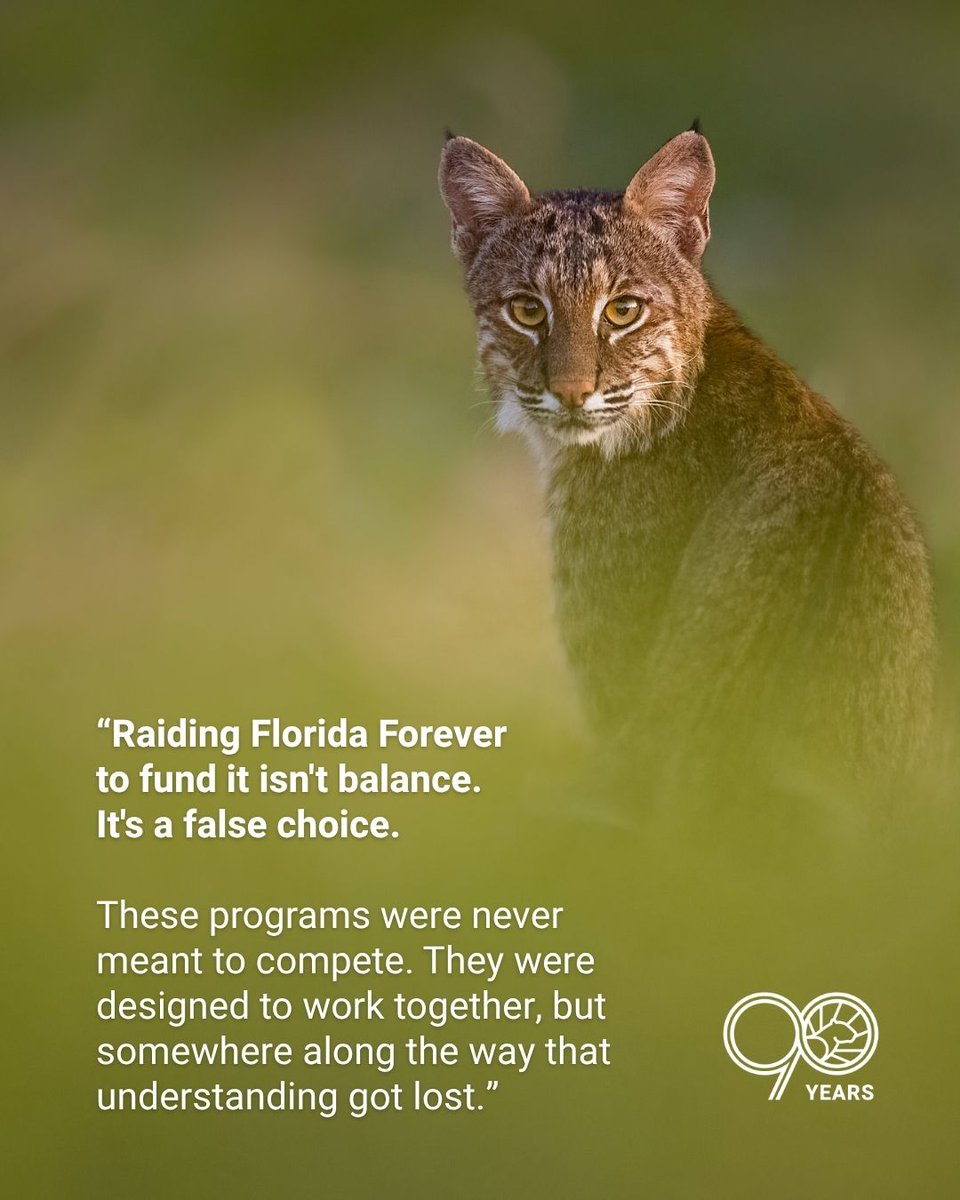 FlWildFed's tweet photo. https://t.co/sTXOsrcI97
