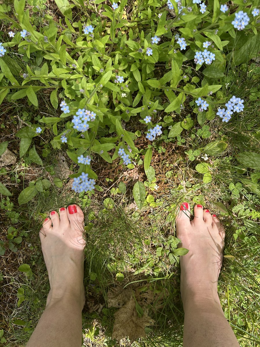 violetrtantra's tweet photo. Grounding in heaven https://t.co/AW7v19xja4
