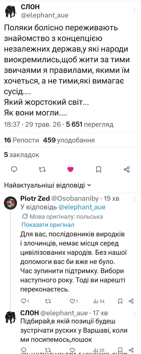 Anastasiya Paraskevova tweet media