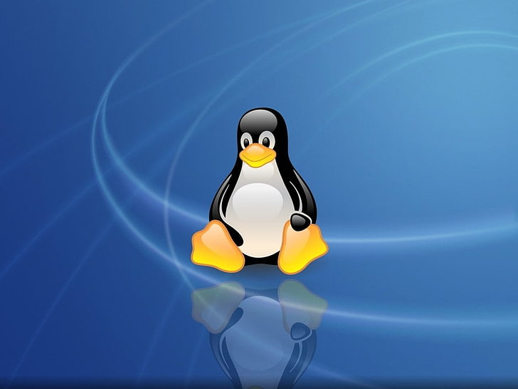 CCompomix's tweet photo. Sistemas operativos Linux y su año de lanzamiento:

• UNIX - 1969
• Mac OS - 1984 
• Linux - 1991 
• Red Hat Linux - 1994
• Debian - 1996
• Ubuntu - 2004
• Mint - 2006
• Android - 2008
• Chrome OS - 2011 
• Kali Linux - 2013
• Huawei EulerOS- 2019
• AlmaLinux - 2021 https://t.co/z83zn1DAgw