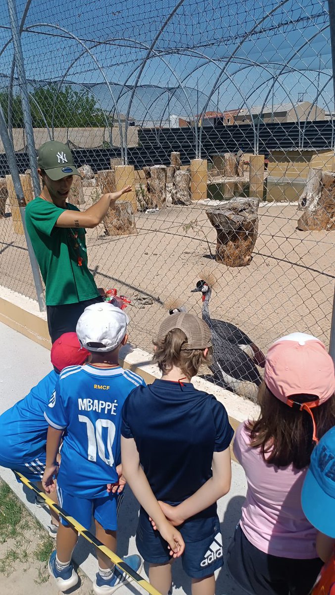 trinitariossala's tweet photo. La Era de las aves siempre es una apuesta segura. Cada año se superan y nos sorprenden con algo nuevo. Este año con ¡una pitón de tres metros! 1° y 2° nos hubiéramos quedado todo el fin de semana, disfrutando de los animales y aprendiendo a cuidar el medioambiente.
#somosfest https://t.co/I4z1IQ9gc8
