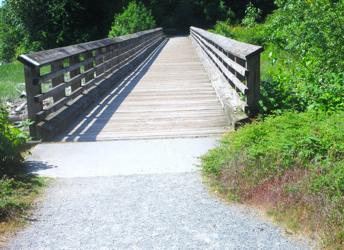 PotteryWorksCLS's tweet photo. Yesterday Snap Photo Squad took the Q to Q ferry to Queensborough and found some beautiful nature shots. The trip across the Fraser River was the fun part but they equally enjoyed exploring and finding natural settings. I'm sure they'll decide to revisit Queensborough again soon. https://t.co/9w09W1ov7B