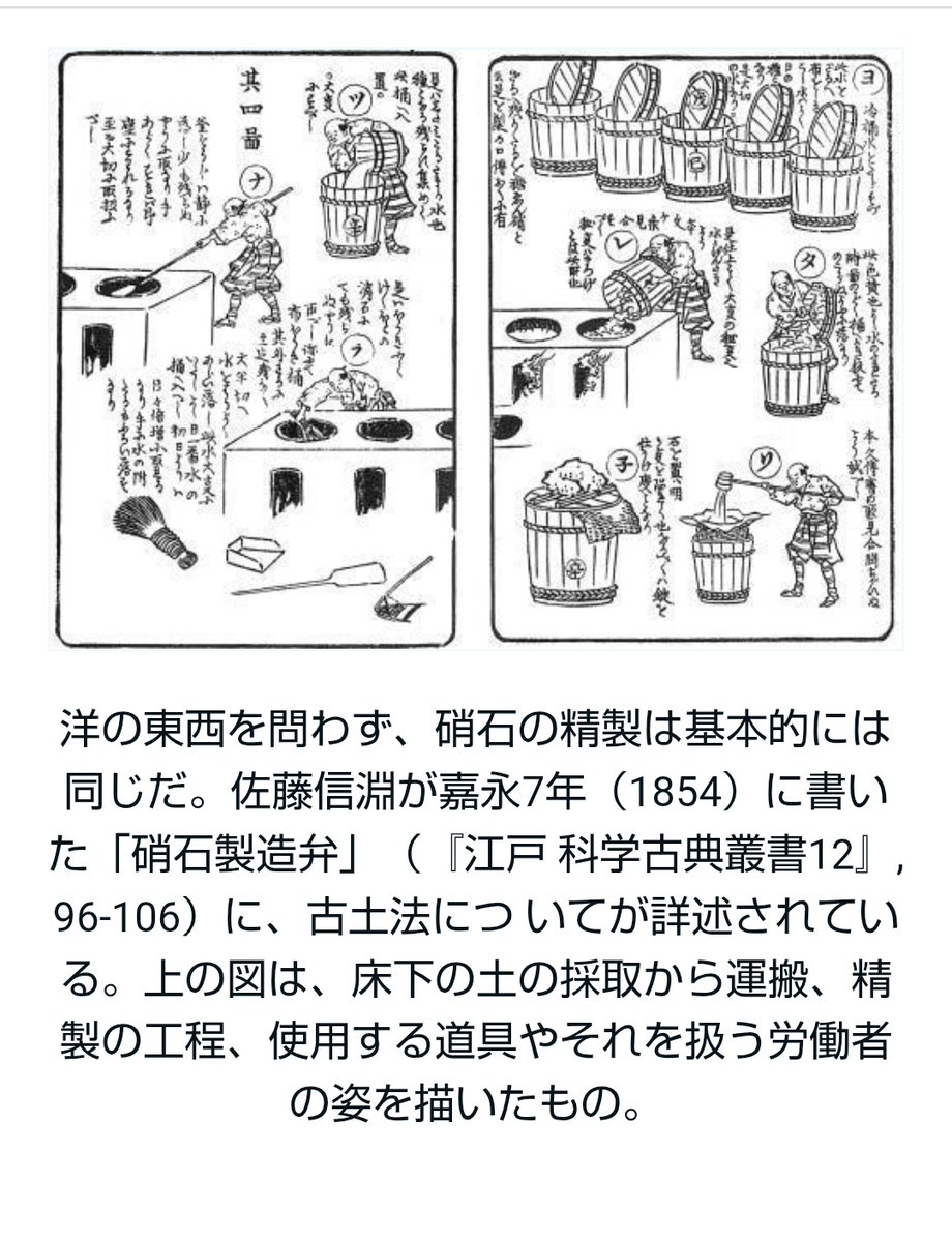 ミドリの龍🐉 tweet media