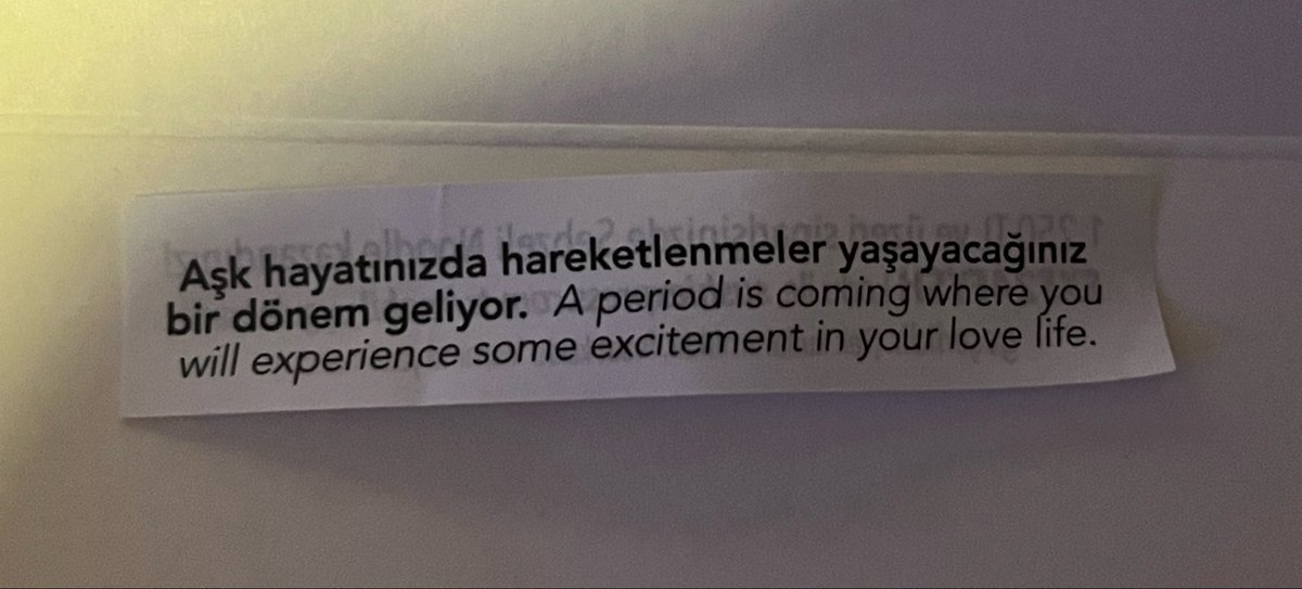 Sılaşko🪽 tweet media