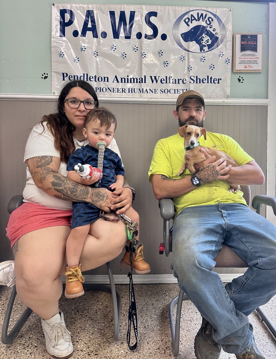 PAWSPendletonOR's tweet photo. Let's celebrate some dog adoptions! Happy Adoption Day to Buddy and Cookie! We have big dogs! We have small dogs! We have someone for everyone, and all adult dog adoptions are $100 off, thanks to Matt and Shasta, father-daughter real estate team! Tell your friends! 

#dogs 💗🐾 https://t.co/dQcEIKWnzG