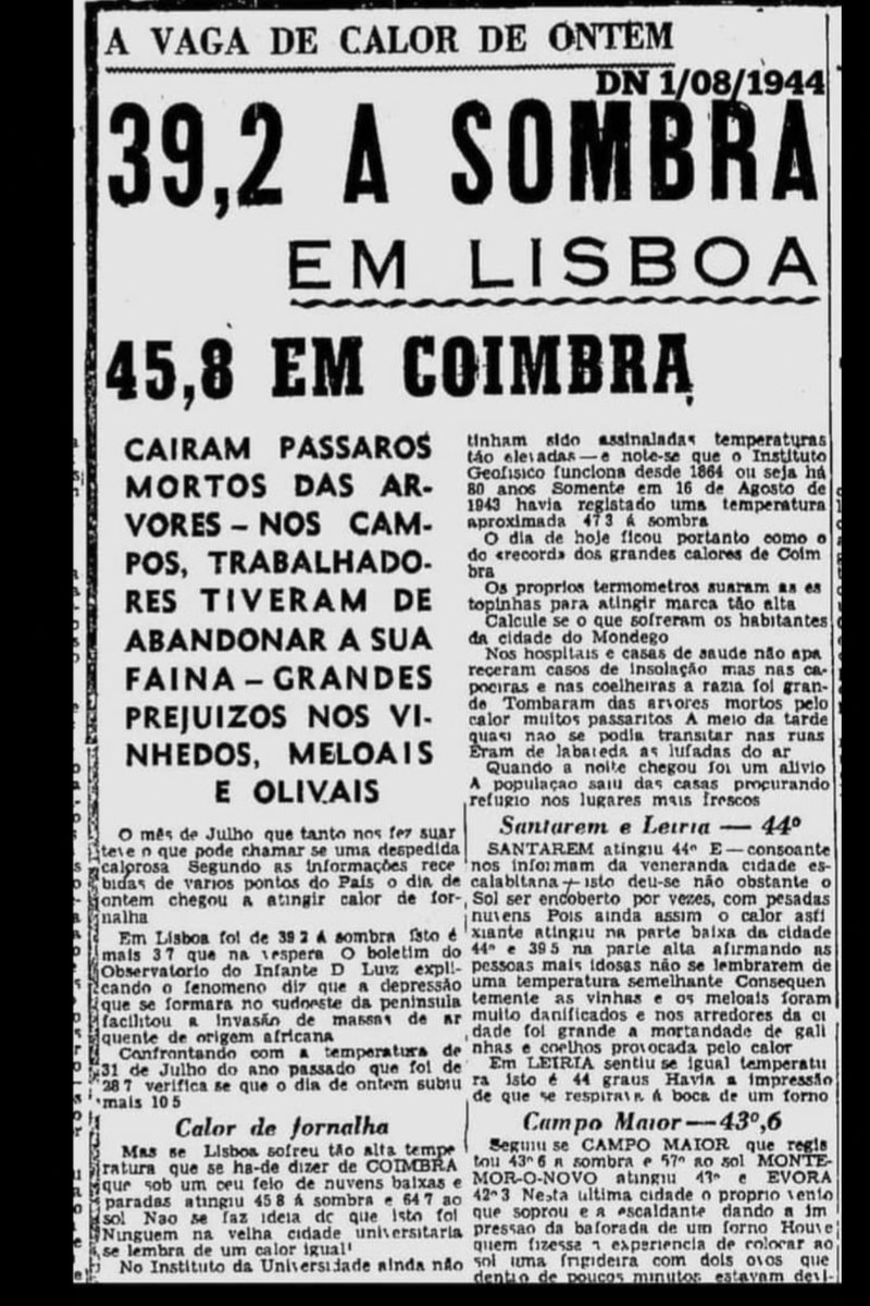 Xocolate🇵🇹🇵🇹🇵🇹 tweet media