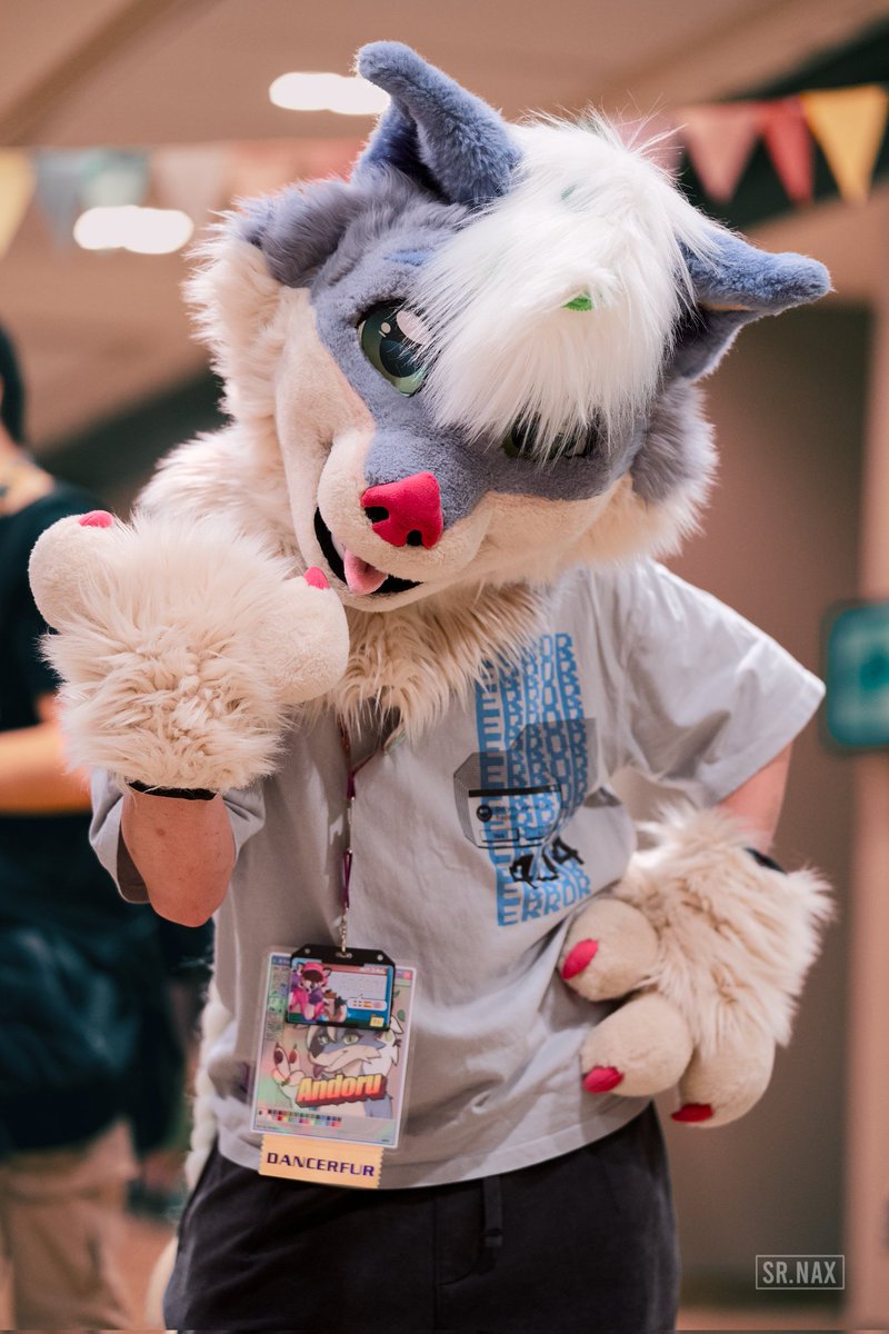 _Andoru_'s tweet photo. Pinky up 💅💅🫦 (kind of) 

#fursuitfriday #furry #fursuit https://t.co/MjP9A8NtBa