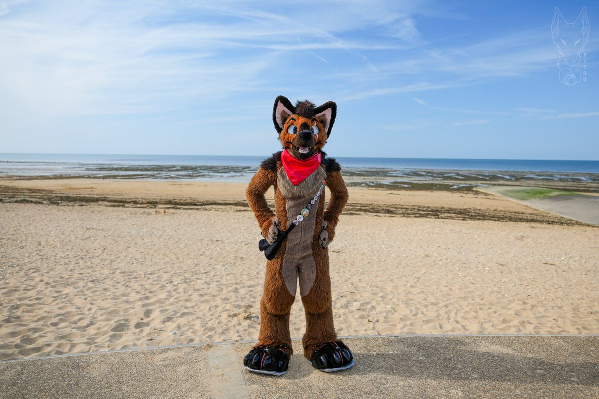 MaxDetsh's tweet photo. Summer is approaching, but it's already hot 😅. How about going for a swim for #fursuitfriday 😉 ?

L'été approche, mais il fait déjà chaud 😅. Et si on allait se baigner pour se fursuit friday 😉 ? 

Photo 📸 @RikouPitou

#fursuit #furry #furryfandom #furrycommunity https://t.co/3VRfxUhnDW