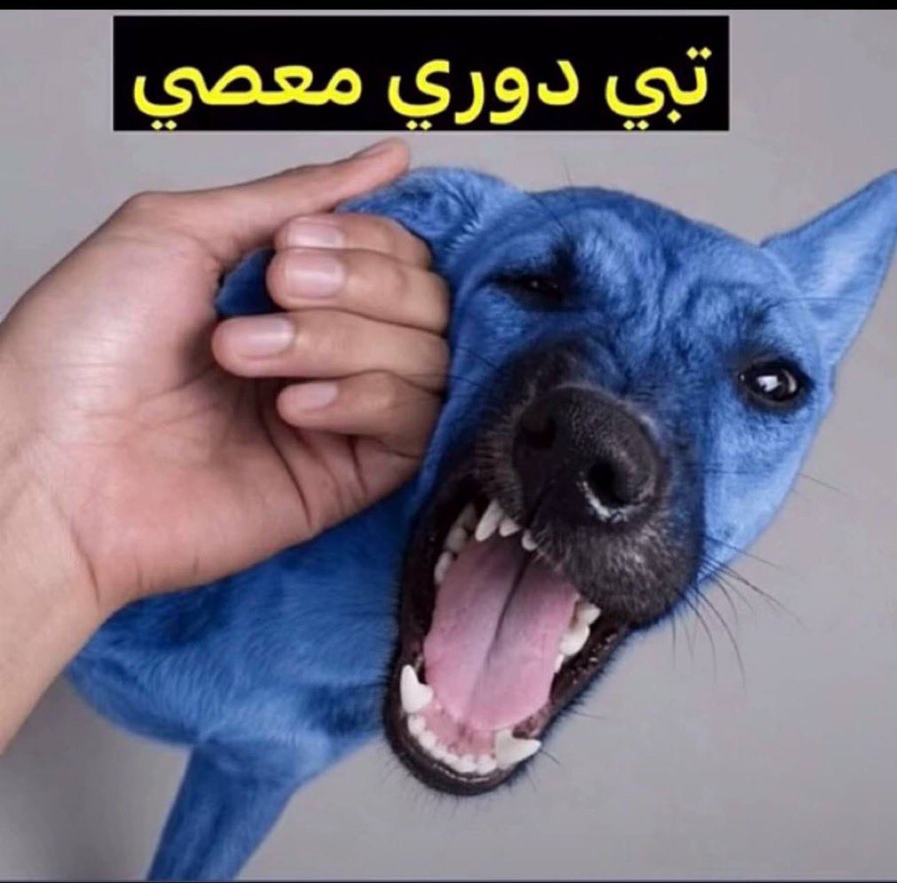 الأميرهہ بــڼۨــٺ أبها 🇸🇦 bint Abha tweet media