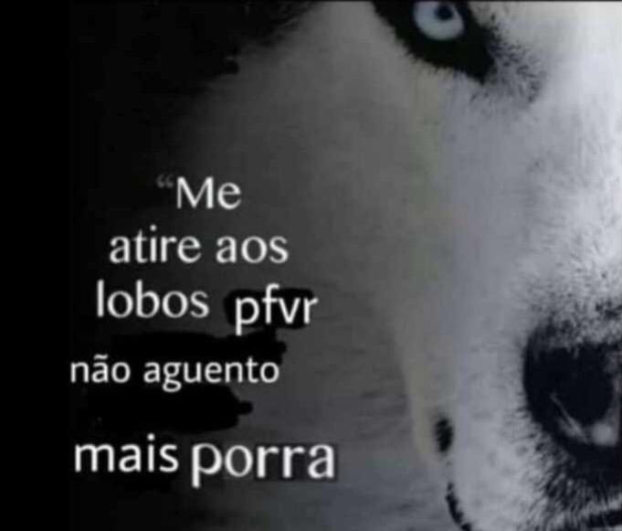 Dibo ✮⋆˙ tweet media