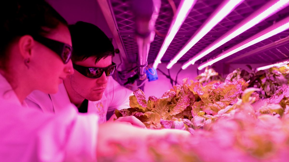thefarmingiq's tweet photo. Indoor vertical farming is transforming food production all over the world. This is what's happening in Canada. 🇨🇦

Read more: https://t.co/Sk1gfndg26

#Agriculture #VerticalFarming #CEA #IndoorFarming #AgTech https://t.co/Txw5NZk9tG