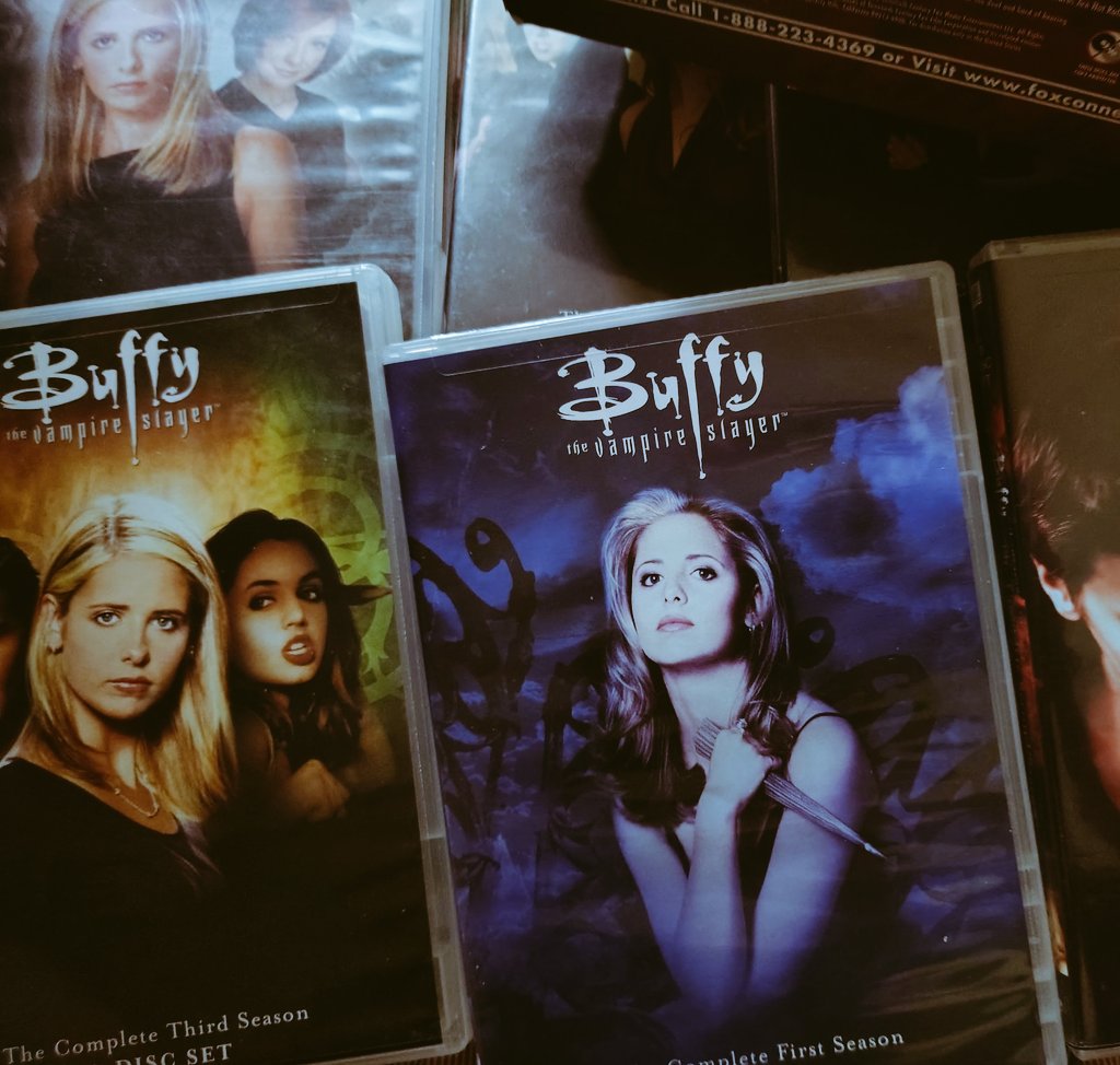 vaninelle69's tweet photo. finally got my xena collection now she can kiss my buffy collection https://t.co/ilzc6v2HTd