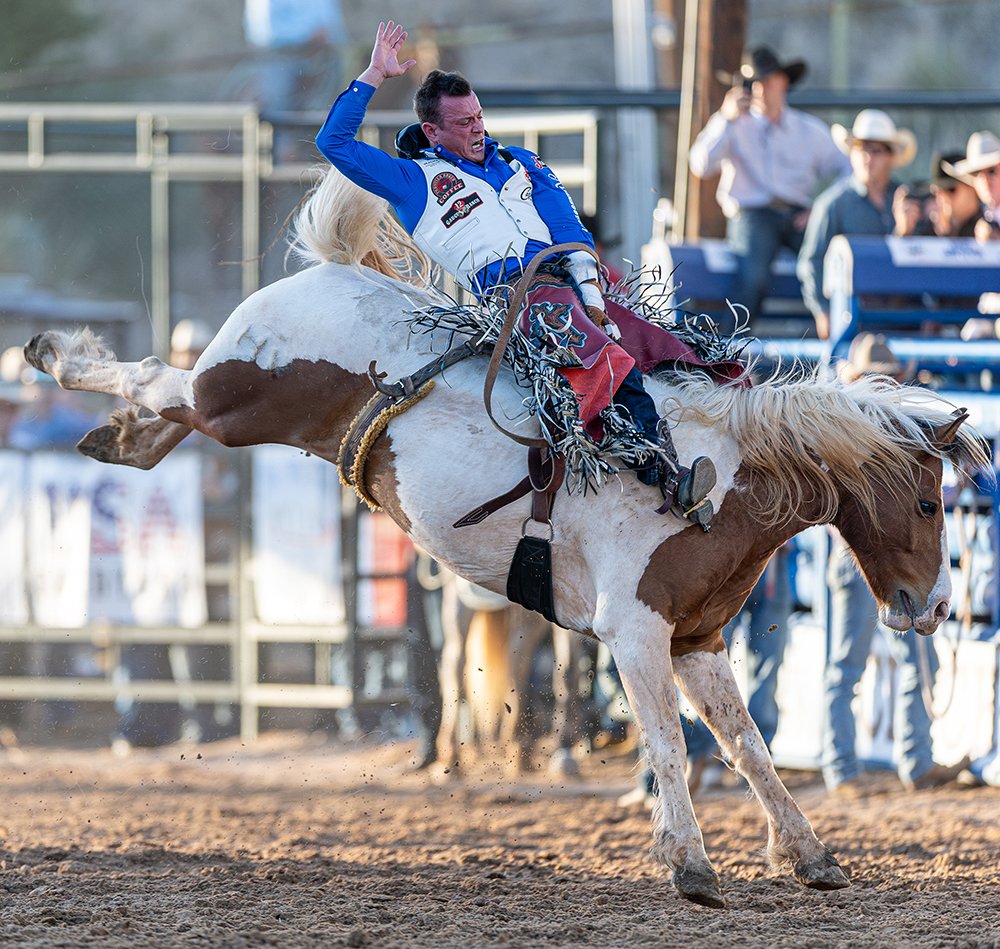 TwisTED Rodeo (@TwisTEDRodeo) / Posts / X