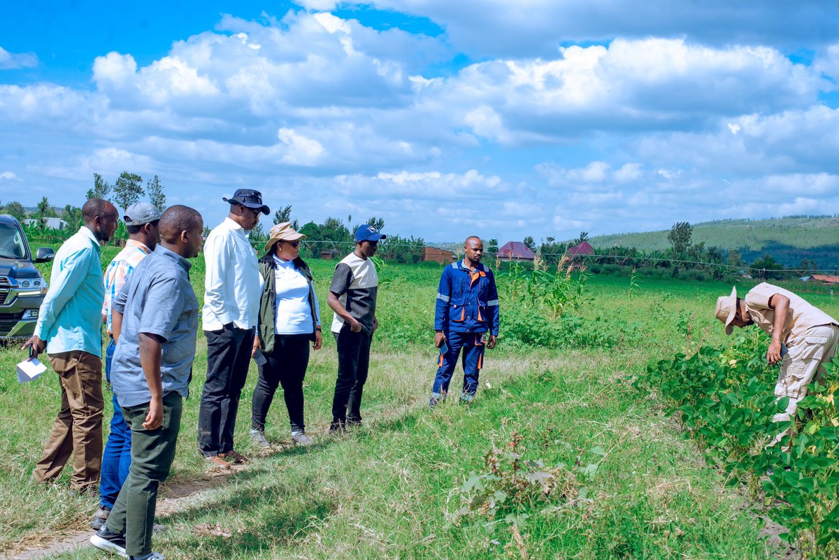 HoReCo_Rw's tweet photo. Today, we had the honor of receiving Hon. @solangeuwituze, State Minister of @RwandaAgri, together with @PudenceR, Governor of @RwandaEast, and other dignitaries at the Kagitumba Irrigation Scheme in Matimba Sector, @NyagatareDistr. 
The visit showcased ongoing irrigation and agricultural activities under KABOKU Cooperative, aimed at enhancing productivity, increasing farmers’ yields, and strengthening food security.