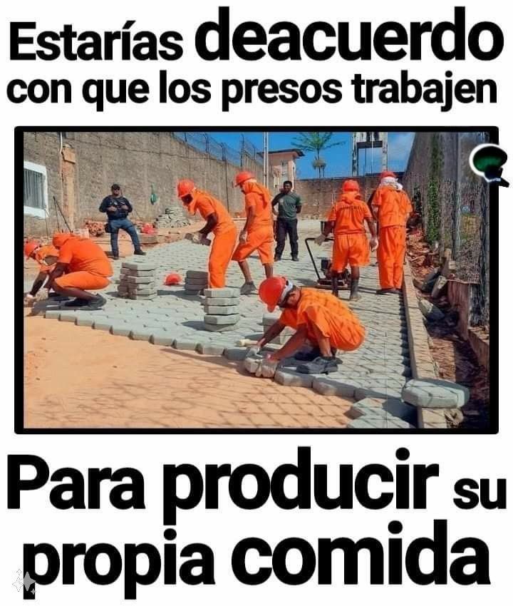 Rocío Infante tweet media