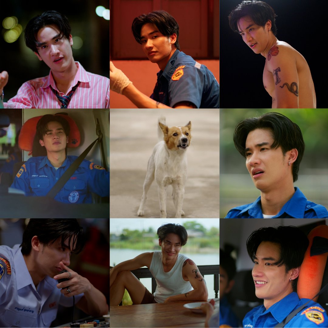 หมาเห่าเครื่องบิน | ADogAndAPlane tweet media