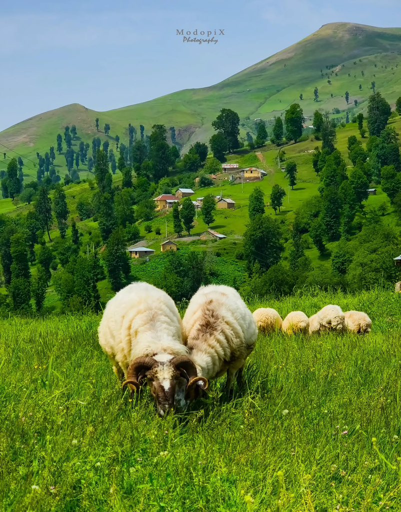 aseelswaid9's tweet photo. The beauty of the Iranian countryside https://t.co/2cPvjcMp0T