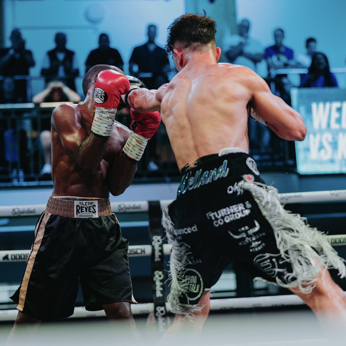 MFProBoxing tweet media