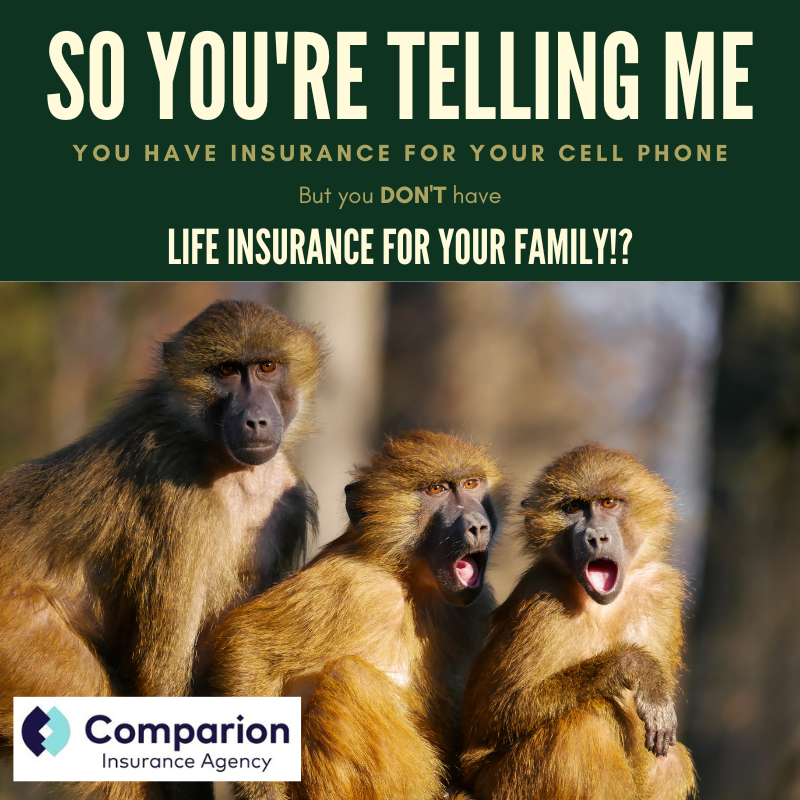 JLawrenceLUTCF's tweet photo. Email me at jody.lawrence@comparioninsurance.com and I'll email you back with a quote. https://t.co/Mz138Vx5dT