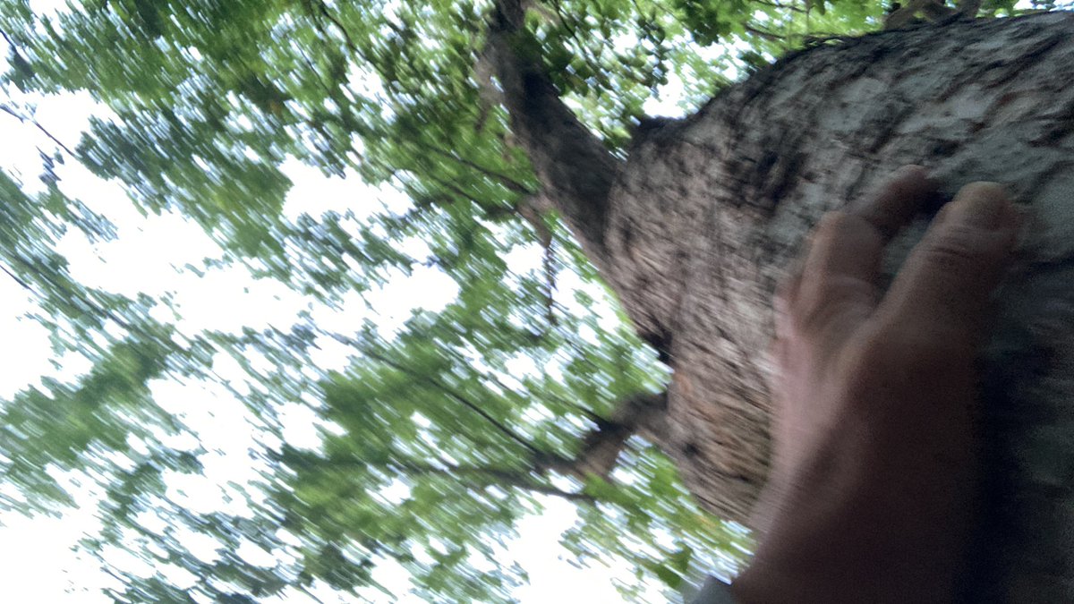 kaz6thlife's tweet photo. 【Soliloquy about something.＆ my #life】
💫✨🌏✨🪐✨🌙✨
🌲✨🌿✨

昨日、初めて #GoogleAI が勧めてきた、
「#QuantumTheory と植物の🪴量子力学的な関係」
について、YouTubeで初めて聴いたな。

植物の生命力は強烈❣️
確かに何かある・・・とは思って来た。 https://t.co/31HrVX8dfZ