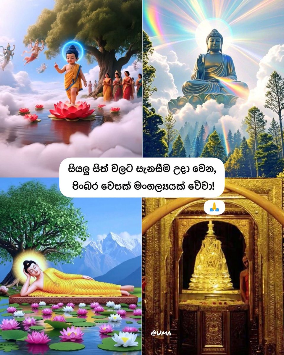 🌹🌹🌸🌸රෝෂි🌸🌸🌹🌹 tweet media