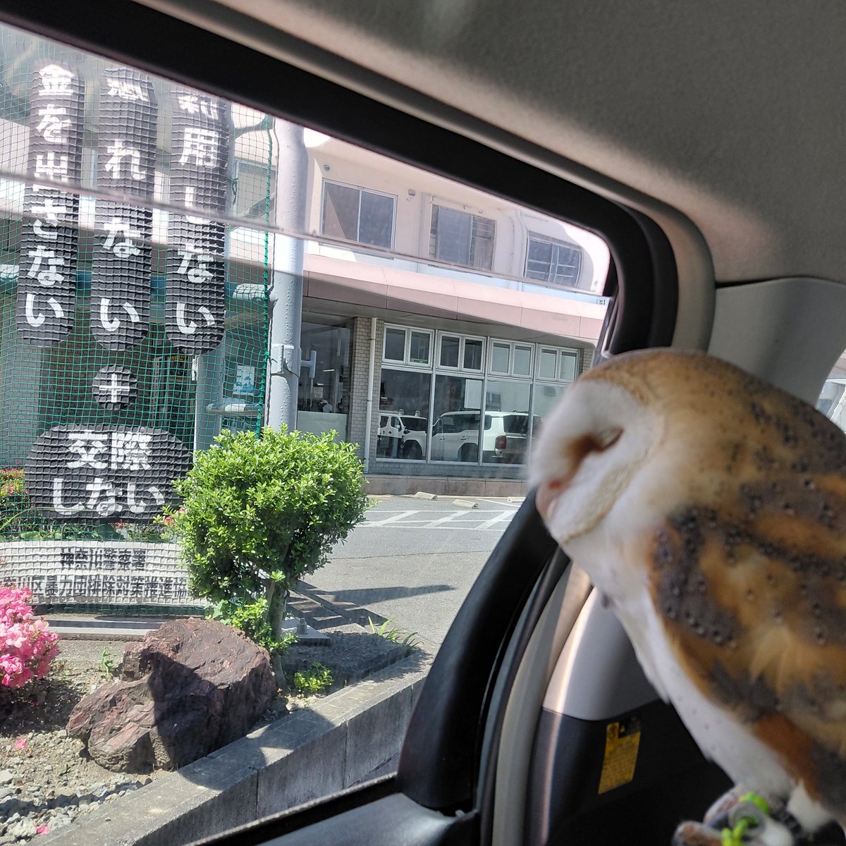けこ tweet media