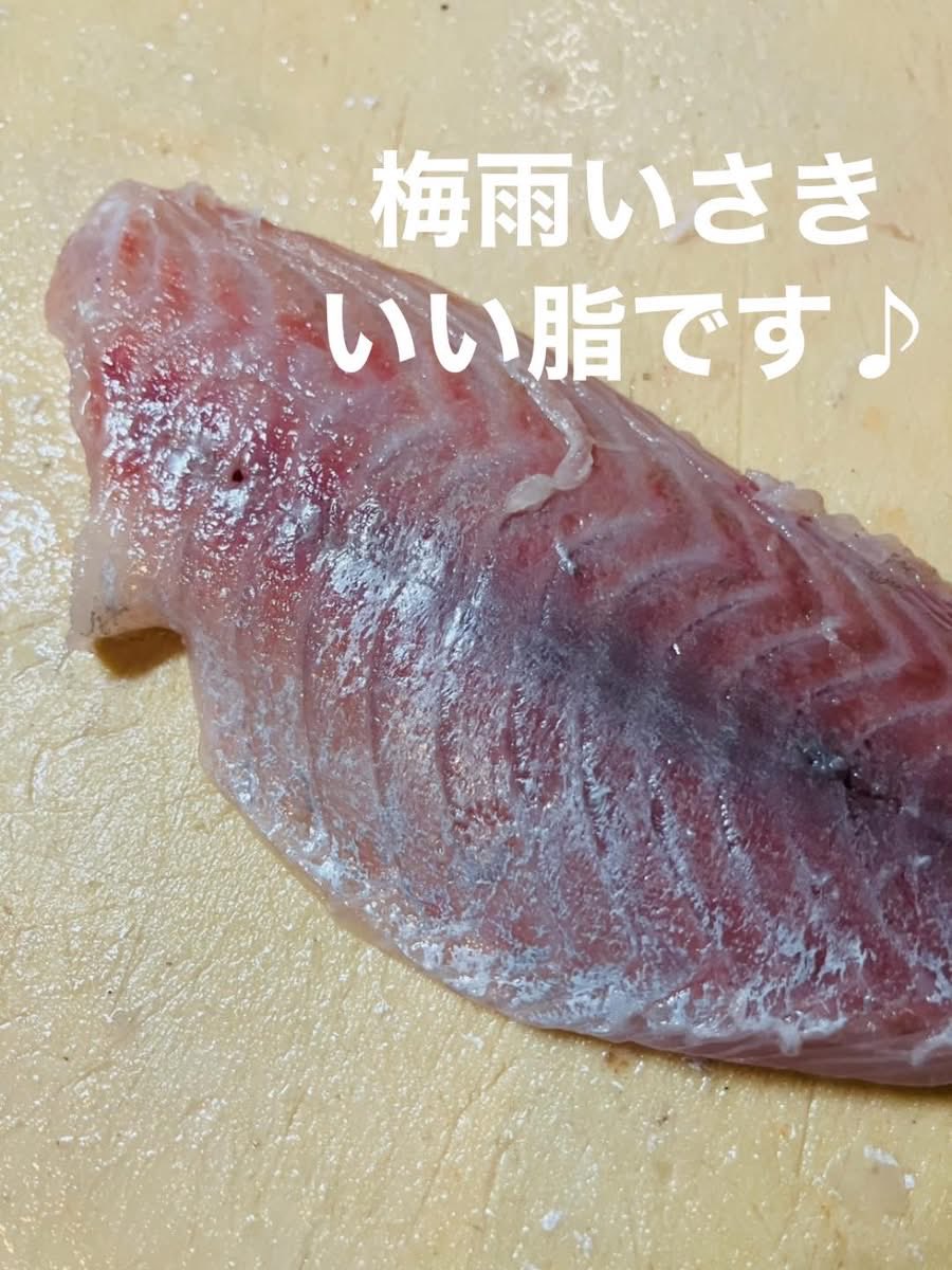 kamonaka10's tweet photo. 今日はいさきに縞鯵いいです♪
潮汁もいい出汁出てますよ https://t.co/uhkPnff7NH