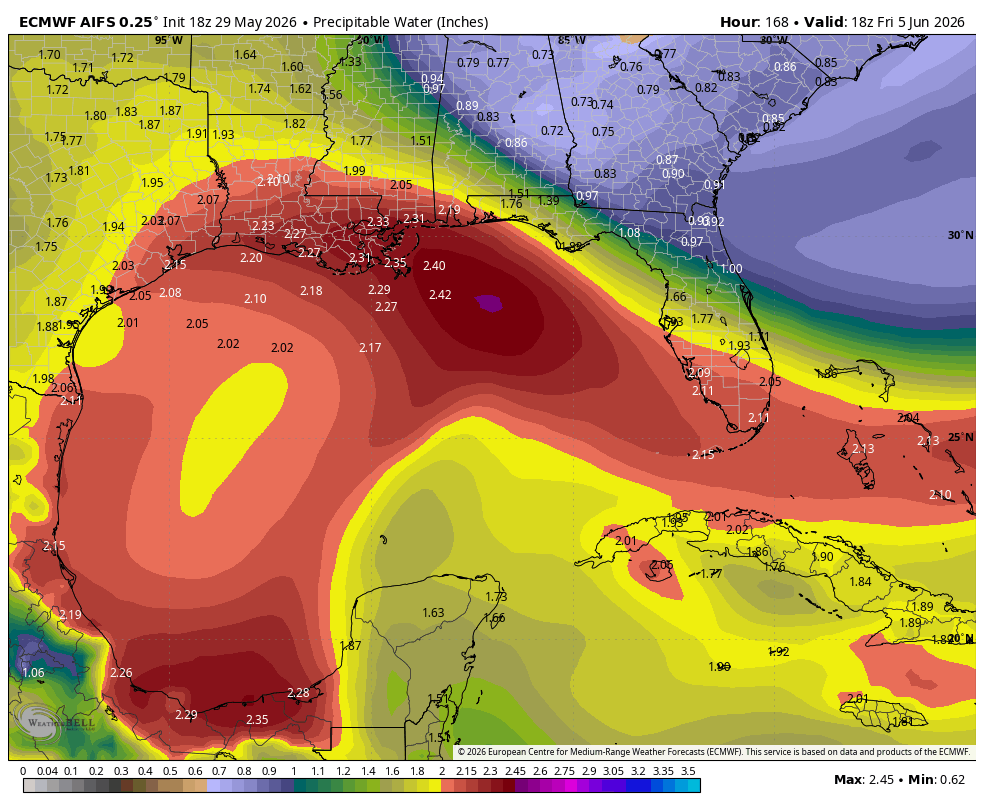 PC_WeatherBoy's tweet photo. EURO and EURO AI still trying to keep things interesting. 

EURO EPS ensembles hinting at a sloppy loosely organized and very sheared tropical wave to try and spin up in the Gulf come mid to the end of next week. 

EURO and EURO AI both hinting with nothing showing on the GFS. GFS shows...no body cares...EURO shows...eye brows raise. Just how it is. 

Will be something to keep an eye on. Would be middle-end of next week. Low concern for now.