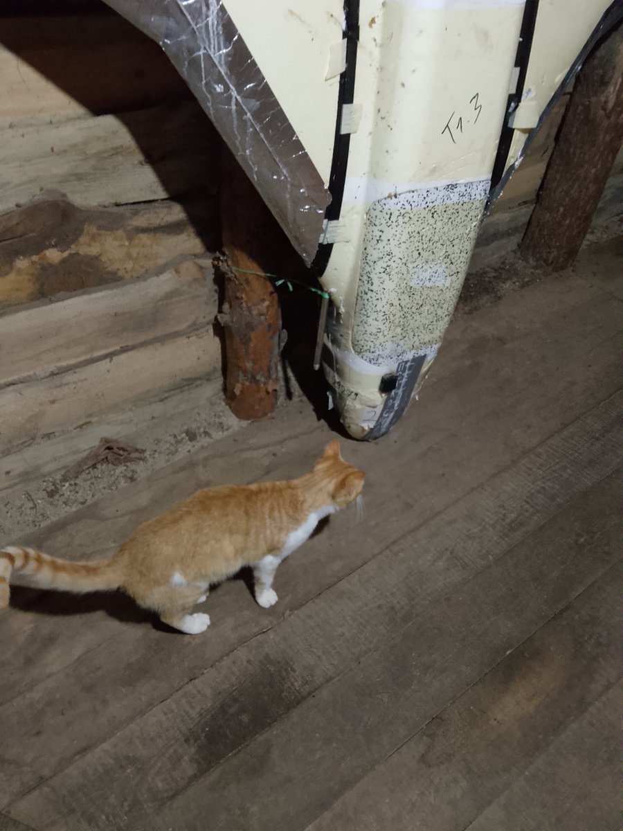 Garry7223699747's tweet photo. Ну привіт,дружбан.давно не бачились https://t.co/1qM63SfLpJ