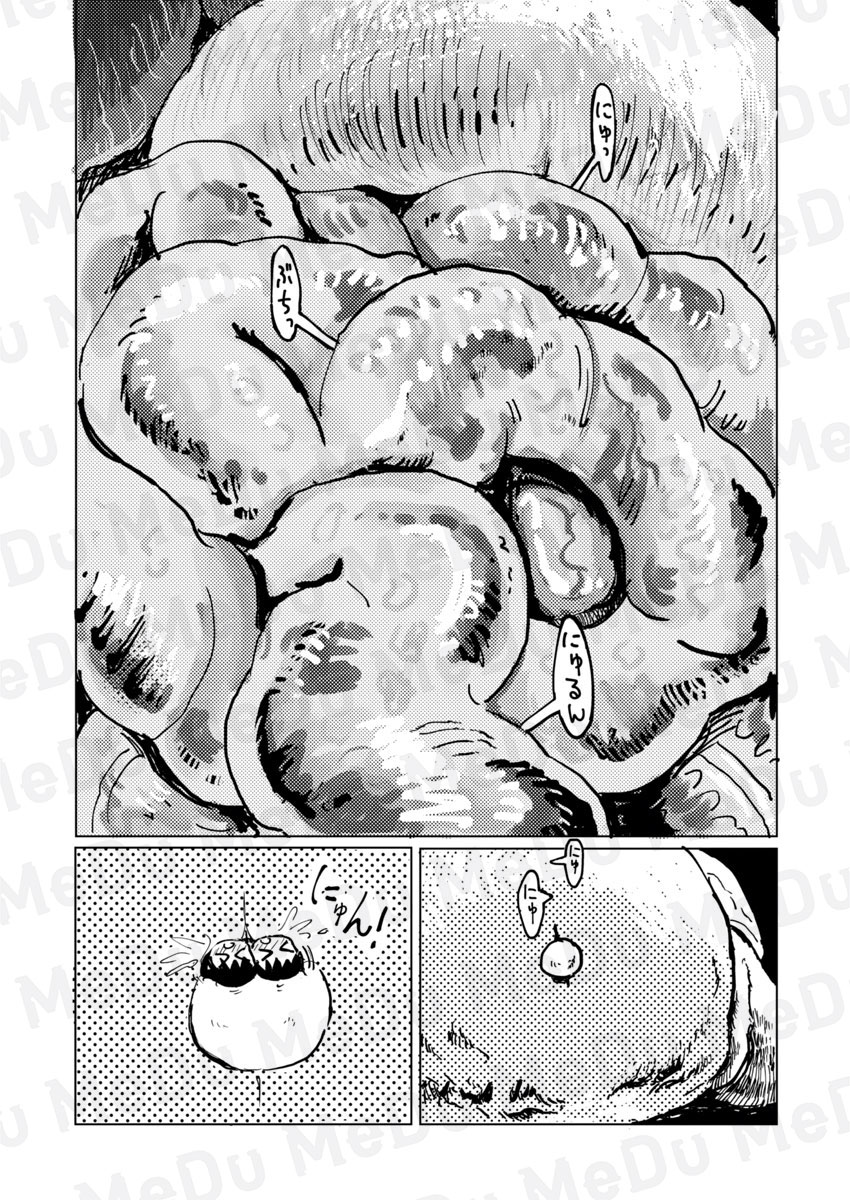 COMIC MeDu(めづ) tweet media