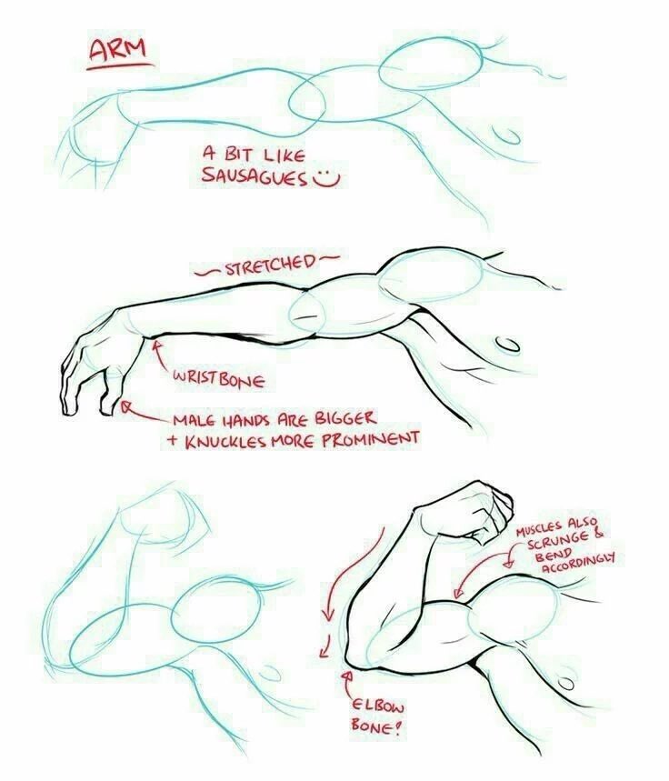 ChromaFlowx's tweet photo. biceps! https://t.co/JlvAxUEH5w