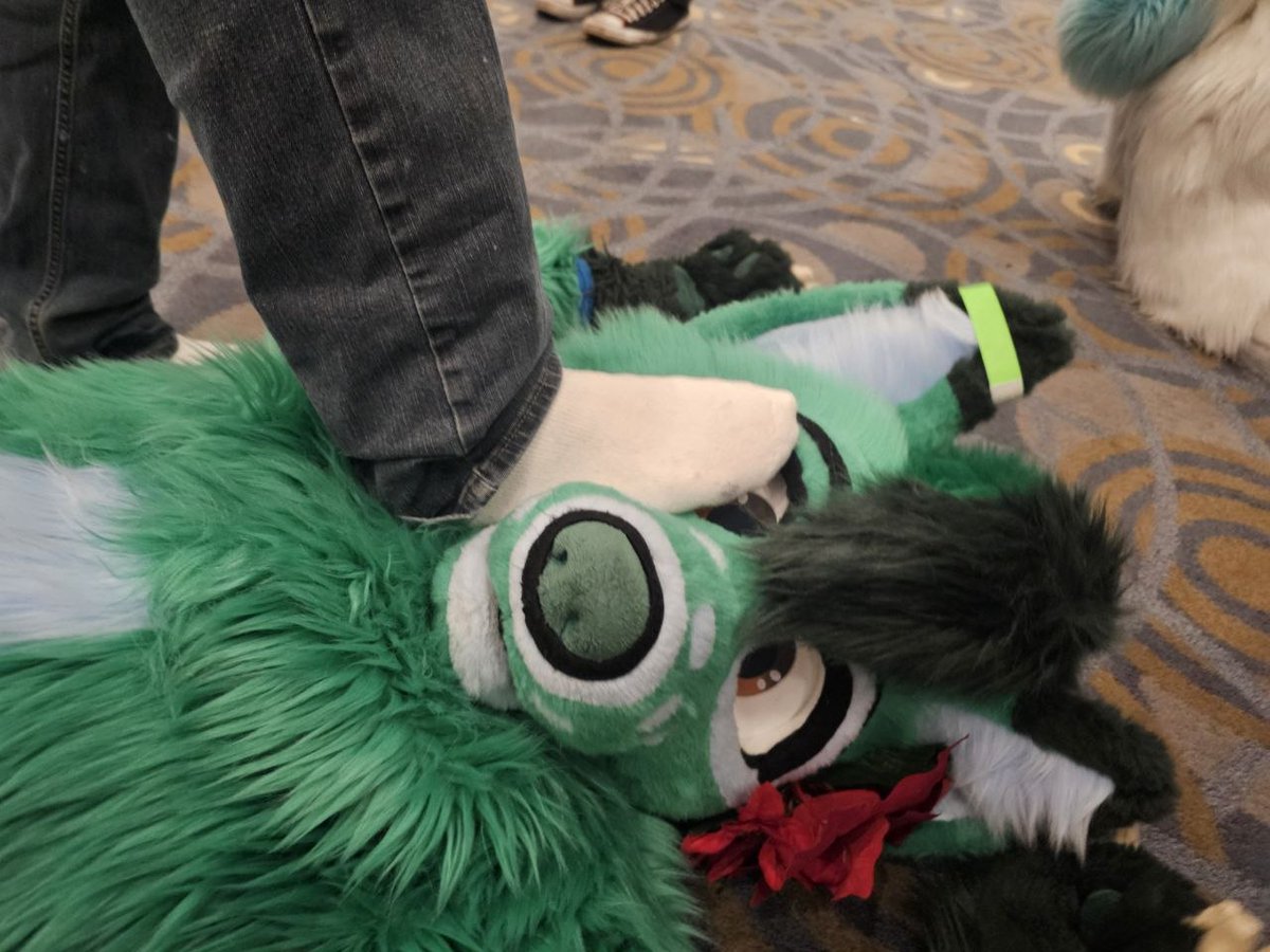 💚🐾Duke Doggo🐾💚 tweet media