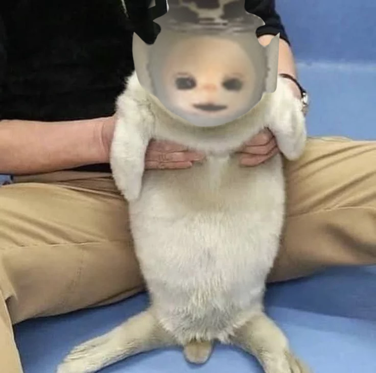 WOKE Slendytubbies Confessions 🔦 tweet media