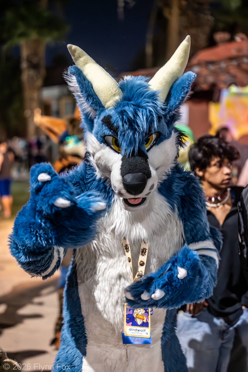 dirdwolf tweet media