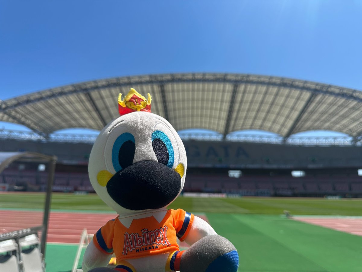albirex_pr's tweet photo. キックオフまであと3️⃣時間3️⃣0️⃣分🕰️
アルビくんが #デンカビッグスワンスタジアム に到着🏟️

🏆明治安田J2・J3百年構想リーグ WEST-A
🆚鹿児島ユナイテッドFC
🕖14:00キックオフ

いよいよプレーオフラウンドが始まります‼️
5位を目指す選手たちに熱い声援をお願いいたします👊🏼🔥

#DAZN➡️https://t.co/Y8HM4KYytS
#albirex #アルビレックス新潟