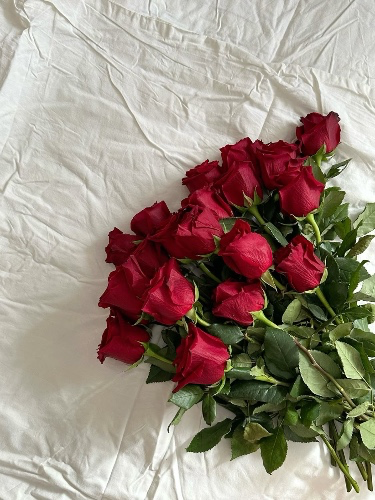 bowdown2ella's tweet photo. I just received roses | $50 from Anonymous via Throne. You're welcome! https://t.co/fBqR9mtBsm #Wishlist #Throne https://t.co/NXqXAO9ZpU