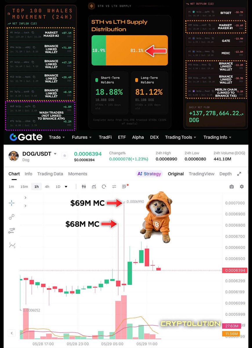 Vincent (Cryptolution) 👑 tweet media