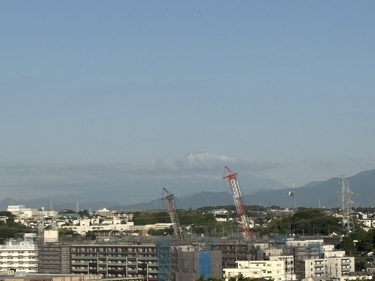 ひでじい tweet media