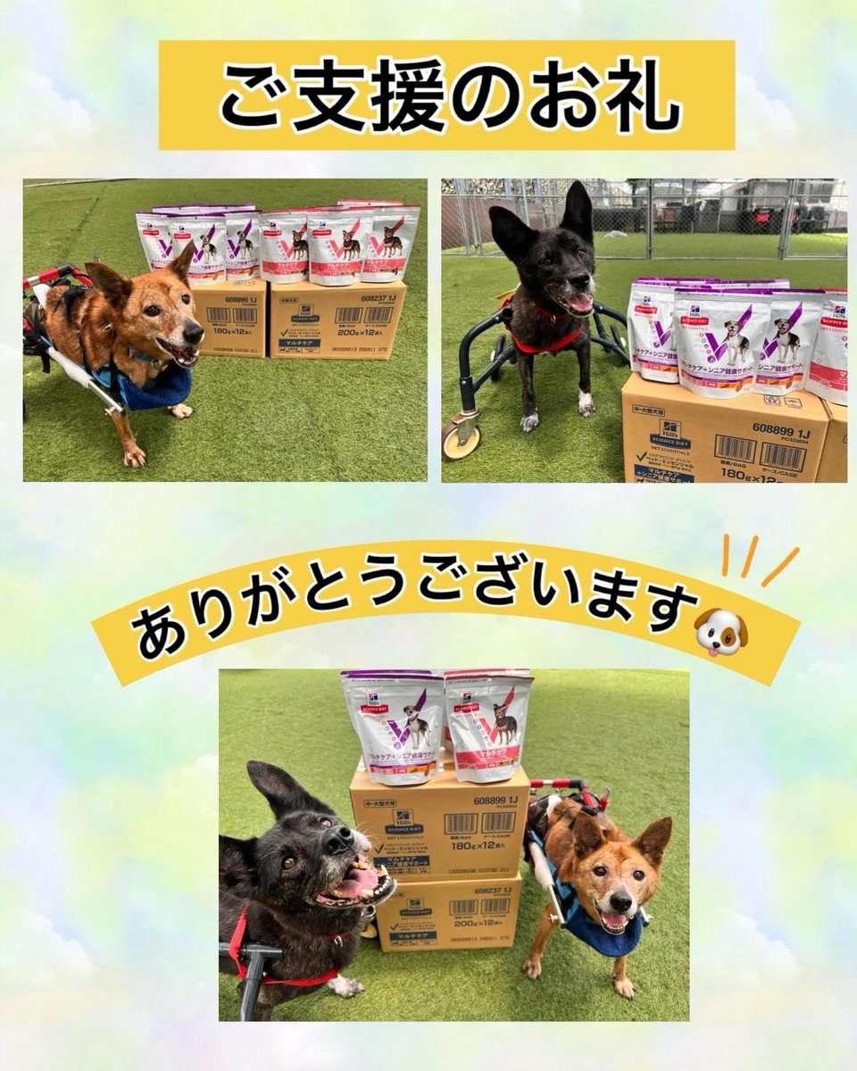 HAPPINESS_2018_'s tweet photo. フードご寄付の御礼

この度も、（株）日本ヒルズ・コルゲート様より
保護犬たちへフードのご寄付をいただきました。
心より感謝申し上げます。 https://t.co/ZUBYpMd58U