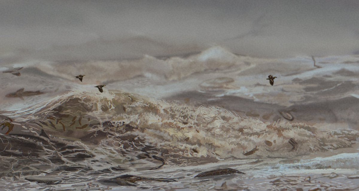 Gael casas tweet media