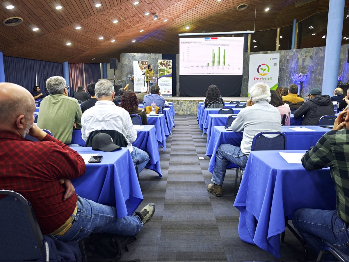 Perfruts's tweet photo. 🍇 #SystemsApproach | Seminario de Cierre del Proyecto FIA Systems Approach Estrategia Area-Wide en San Esteban. Gran oportunidad para profundizar en los alcances de esta iniciativa clave para la sostenibilidad y competitividad de nuestra Uva de Mesa. https://t.co/LJyK74U6xm