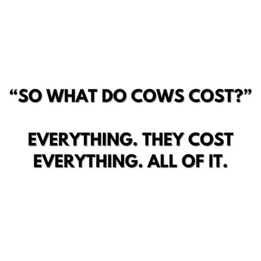 feedlotmagazine's tweet photo. No truer words.🤑🫠🫥

Source : Unknown https://t.co/fzMOIa0Csh