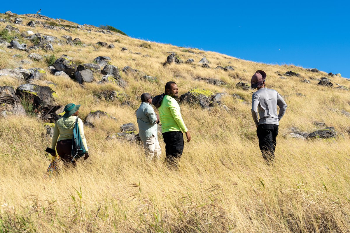 EAGAntigua's tweet photo. 📍#FieldworkFriday on Redonda⛰️
Back in January, the EAG team carried out one of our quarterly biosecurity trips to help keep Redonda free of invasive mammalian species🐀🚫🐐 https://t.co/jEUqUIU0Zk