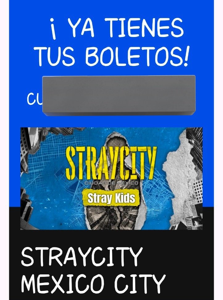 ᥊ﺃꪖ ᥫ᭡ VERÁ A STRAY KIDS 🗣️🎉 tweet media