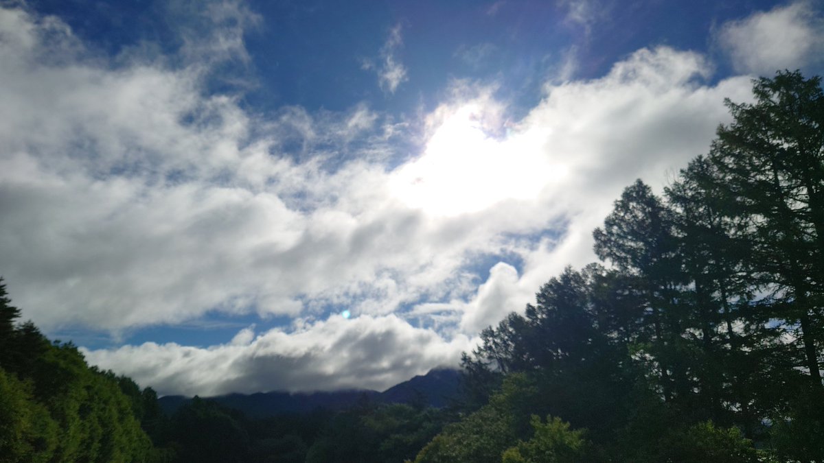 C なまけもの Yukkars🐴🌸 tweet media
