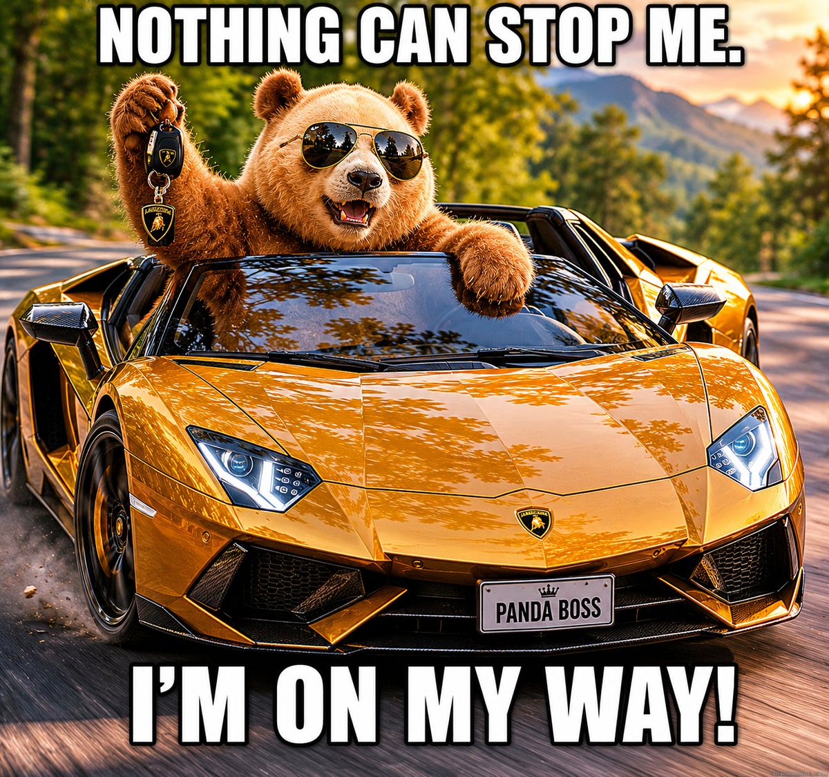 voidcamel's tweet photo. @Fityeth Bought a unique narrative. A rare brown panda with fees going to the charity that adopted him.

ca: BVXojT6X9m4wA5HT4fQg2ScaBdwhxJXkA53Sf5abpump https://t.co/lU1lmGGt5L