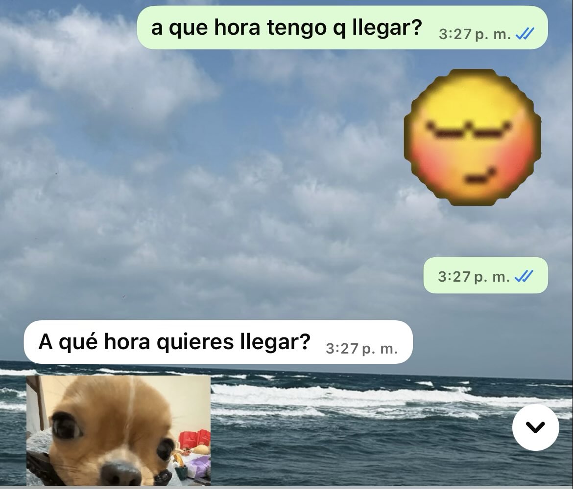 arymoronii's tweet photo. coño así sí trabajo 🤓 https://t.co/ZibomNeNsz